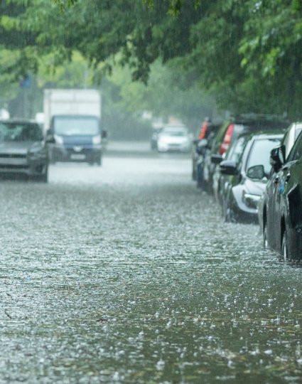 Flooded urban street with parked cars partially submerged in water, heavy rain, and lush green trees lining the road